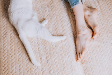 Women's legs and cat paws lie on a light blanket. View from above. The concept of rest at home, comfort, lazy pastime.