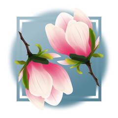 Rozkwitająca magnolia. Ręcznie rysowane kwiaty w kolorze bladego różu z gałązką na jasnym niebieskim tle, w ramce.