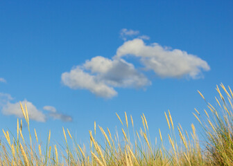 Obraz premium beautiful blue sky view with clouds and nobody