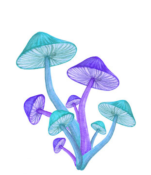Magic mushroom bunch isolated on white background. Neon blue glowing toadstool group. Fairytale fungi plant with hallucinogen effect single sticker, clipart.  Trance hippie poster.