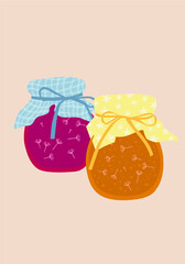Dandelion jam in cute homemade jars on the white isolated background.