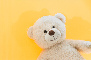 Portrait of a teddy bear on a yellow background.