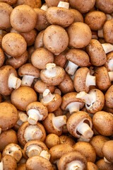 Fresh brown mushroom champignon close-up for sales in turkish market in Antalya, Turkey