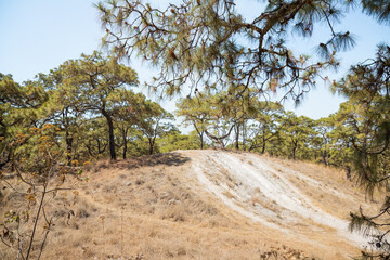 erosi&oacute;n del suelo 