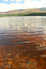 Playing around Loch Morlich in the sun