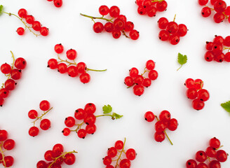Clusters of red currant are scattered around. Red currant is scattered on a white background.