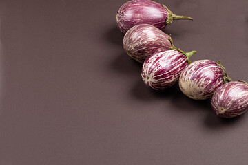 striped eggplant on a dark background. Home harvest and organic products concept
