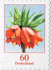 GERMANY - CIRCA 2013 : a postage stamp from Germany, showing a European flower: Imperial Crown