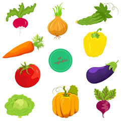 Set of vegetables. Vector illustration of colorful vegetables