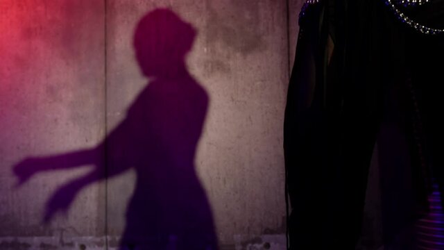 The shadow of a woman on the wall, who is actively dancing oriental dance in the studio, Makes various beautiful movements with her hands and body.