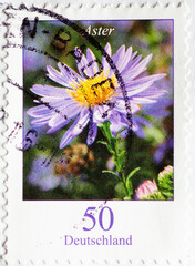 GERMANY - CIRCA 2005 : a postage stamp from Germany, showing a European flower: aster