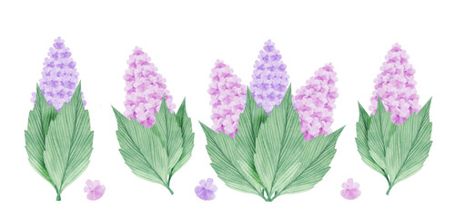 Watercolor set with cute  violet flowers. Illustration for greeting cards, invitations, wrapping paper, textile. Isolated on white, stock illustration.