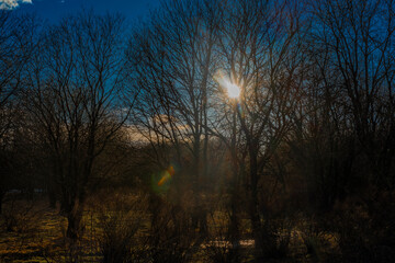 Naklejka premium Sunset near Spicak hill in Krusne mountains in north Bohemia in winter day