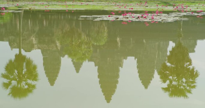Angkor Wat Temple Reflection in a Pond with Lillies at Siem Reap, Cambodia.