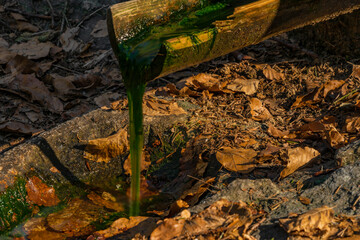 Small green spring with wooden pipe near Pancir hill in Sumava national park