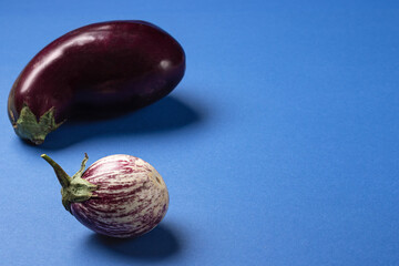 two eggplants of different varieties on a blue background. Dark and striped eggplant for cooking.Organic food concept