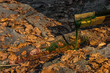 Small green spring with wooden pipe near Pancir hill in Sumava national park