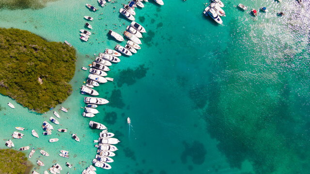morrocoy venezuela