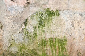 A patch of dispersed fungal algae or moss grows on an old plaster facade cement wall tinged with...