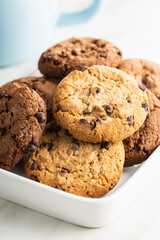 Tasty biscuits with chocolate. Sweet chocolate cookies