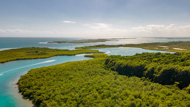 morrocoy venezuela