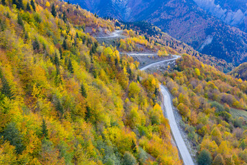 Fototapeta na wymiar Winding road in the mountains, autumn forest view from a drone