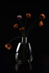 Still Life with poppies of glass on black background