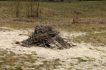 a pile of firewood for a fire in nature