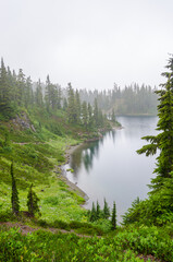 Fragment of foggy and rainy Bagley Lakes Trail at Mount Baker Park in Washington, USA