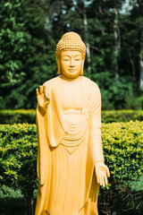 buddha statue yellow chinese temple