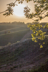 Sun in rural landscape field through the foliage on yellow background. Natural scenery. Countryside sunny morning environment. Vertical summer nature view. Local travel in country