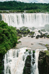Iguazu Falls waterfall forest tropical 