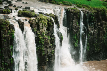 Iguazu Falls waterfall forest tropical 