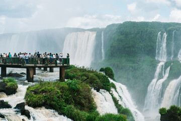 Iguazu Falls waterfall forest tropical 
