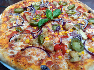 Horizontal close up shot of a pepperoni pizza with onion, cheese, jalapeno as topping. Close up of a delicious looking baked pizza with typical ingredients on top.