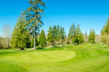 Golf course with gorgeous green and fantastic mountain view