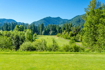 Golf course with gorgeous green