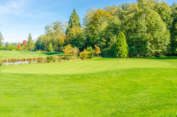 Fototapeta na wymiar Golf course with gorgeous green