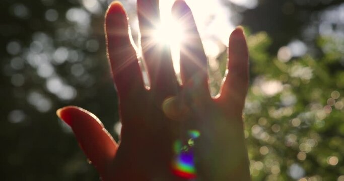 Female hand touching the sun, sunlight passing through fingers, pine forest mountain at sunset, closeup shining sun and the branches of the trees, season travel nature idyllic
