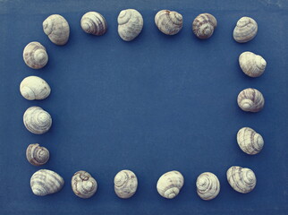 Bright ultramarine blue background: photo frame in nautical style with seashells. White with gray and brown veins spiral shells of clams, grape snails lined with a rectangle. Concept: travel, vacation