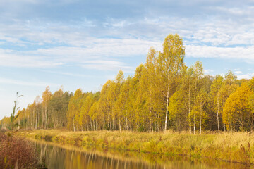 Autumn nature in the countryside. Yellowed forest and river