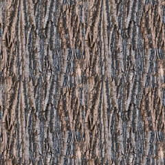 Obraz premium tree bark texture. 4k seamless texture for 3d texturing