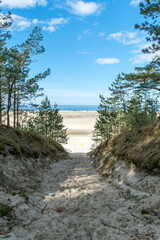 Fototapeta na wymiar View of the sandy beach of the Baltic Sea with a pine forest next to it