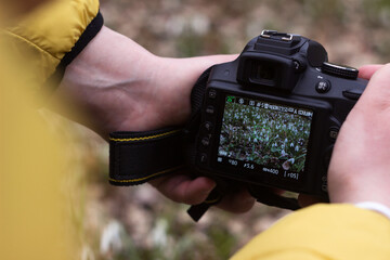 A man in a yellow jacket photographs snowdrops. Spring photo hunt for white flowers