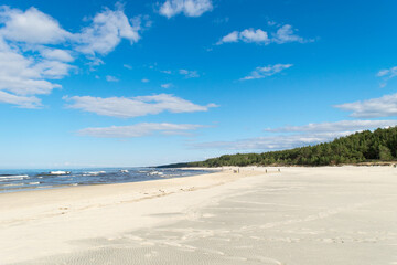 View of the sandy beach of the Baltic Sea with a pine forest next to it