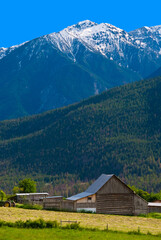 Fototapeta na wymiar A farm and gorgeous mountains, British Columbia, Canada.