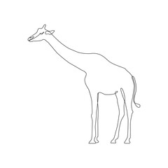 Minimalist One Line Giraffe Icon. Line drawing animal tattoo. Giraffe one line hand drawing continuous art print, Vector Illustration. Free single line drawing of giraffe