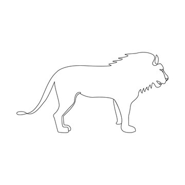 One Line hanMinimalistic One Line Lion Icon. Male lion one line hand drawing continuous art print, Vector Illustration. Free single line drawing of lion. Line drawing ad drawing Wild Lion outline Icon