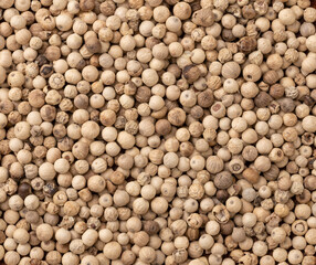 Top view, closeup of white pepper grains on a wooden spoon. Food backdrop