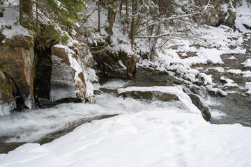 Fototapeta na wymiar Waterfall on a mountain river in winter among the coniferous forest. Kamyanka waterfall. Carpathians. Ukraine.